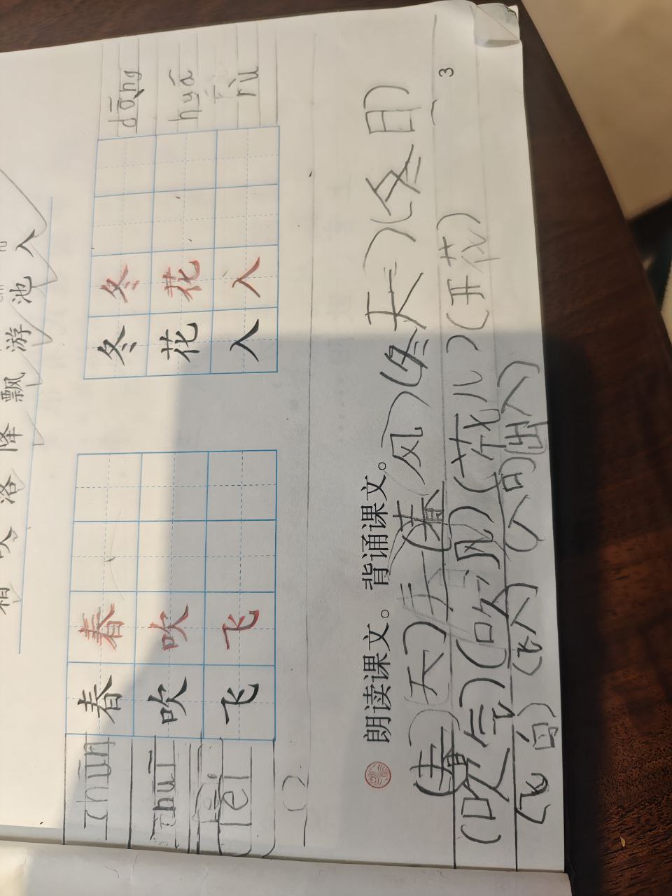 我的作业