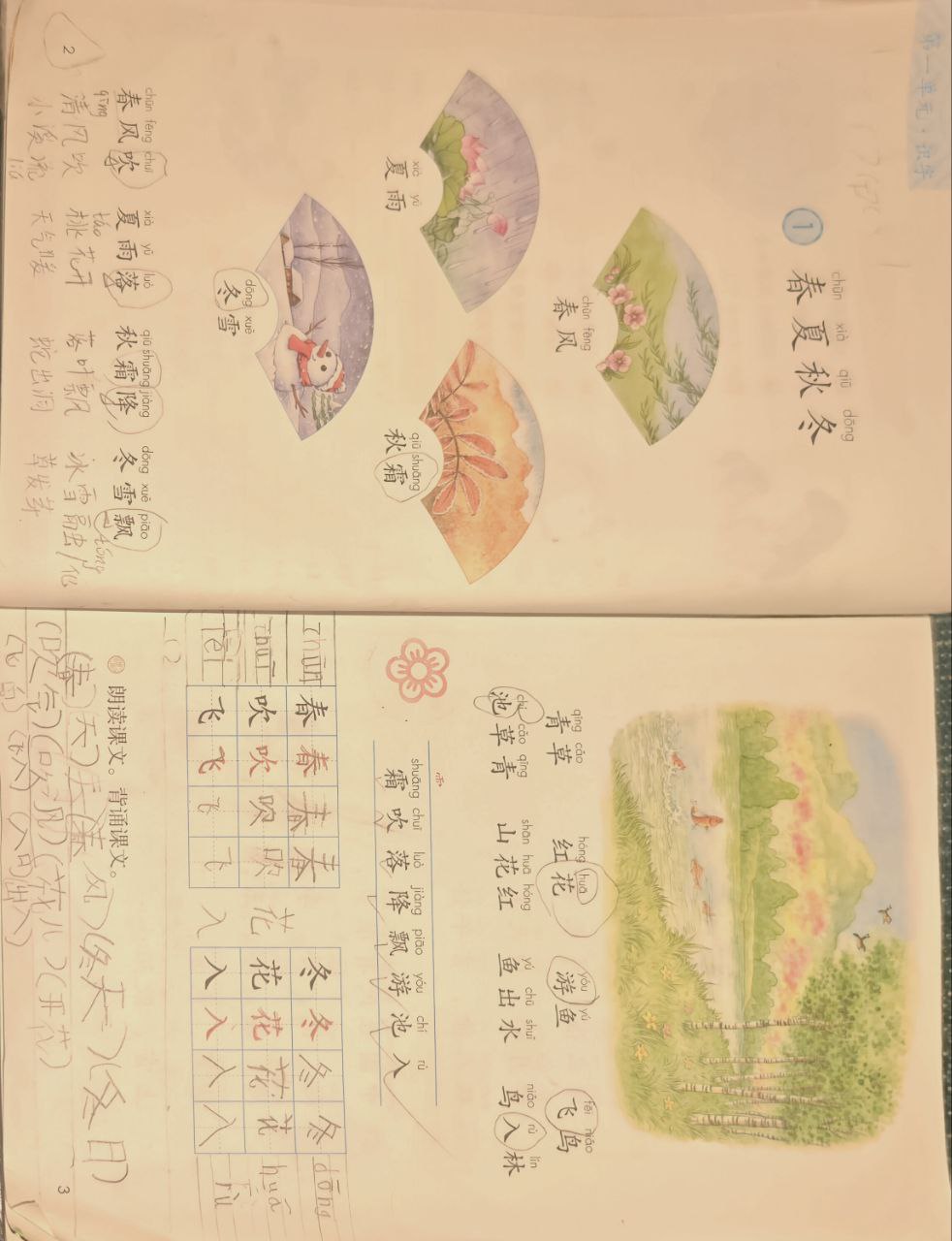 我的语文作业